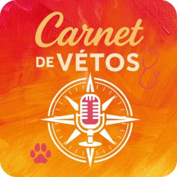 Artwork for Carnet de Vétos