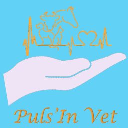 Artwork for Puls'In Vet