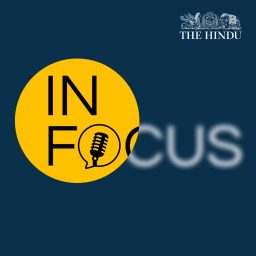 Artwork for In Focus by The Hindu