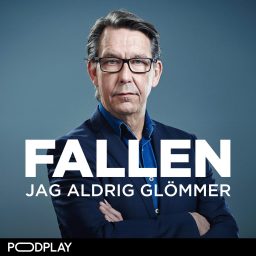 Artwork for Fallen jag aldrig glömmer