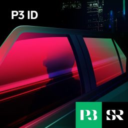 Artwork for P3 ID