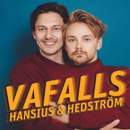 Artwork for VAFALLS