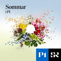 Artwork for Sommar & Vinter i P1