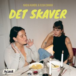 Artwork for Det skaver