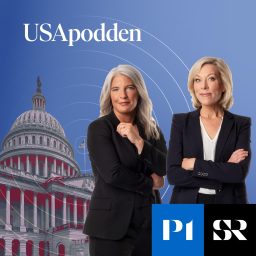 Artwork for USApodden
