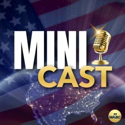 Artwork for 77 WABC MiniCasts