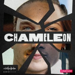 Artwork for Chameleon