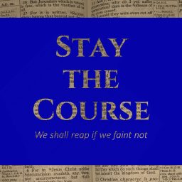 Artwork for Stay the Course
