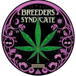 Artwork for Breeders Syndicate 3.0