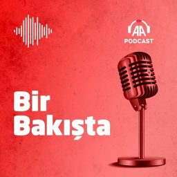 Artwork for Bir bakışta