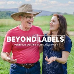 Artwork for Beyond Labels Clips