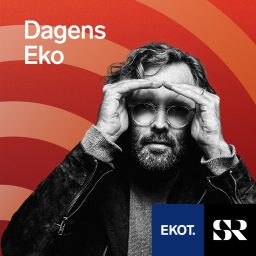 Artwork for Dagens Eko