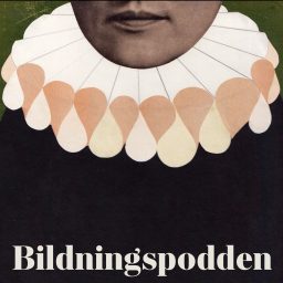 Artwork for Bildningspodden