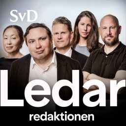 Artwork for SvD Ledarredaktionen