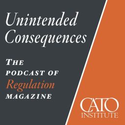 Artwork for Unintended Consequences