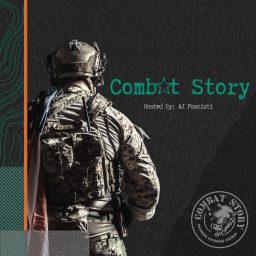 Artwork for Combat Story