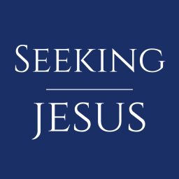 Artwork for Seeking Jesus