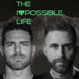 Artwork for The Impossible Life
