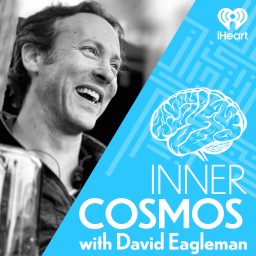 Artwork for Inner Cosmos with David Eagleman