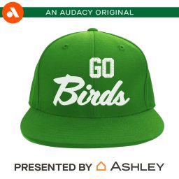 Artwork for Go Birds!