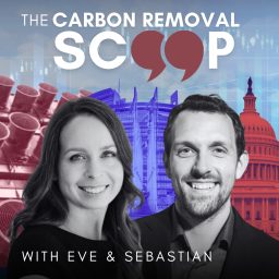 Artwork for The Carbon Removal Scoop