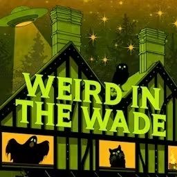 Artwork for Weird in the Wade