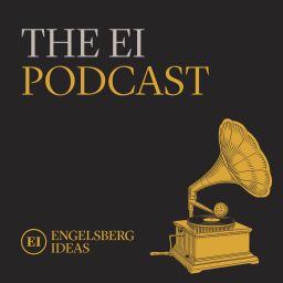 Artwork for The EI Podcast