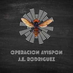 Artwork for OPERACIÓN AVISPON