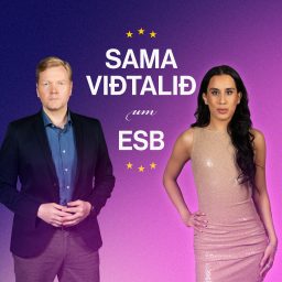 Artwork for Sama viðtalið um ESB
