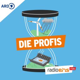 Artwork for Die Profis