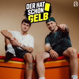 Artwork for Der hat schon Gelb!