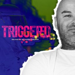 Artwork for TRIGGERED