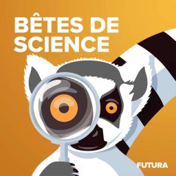Artwork for Bêtes de science