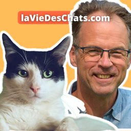 Artwork for laVieDesChats