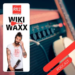 Artwork for WikiWaxx