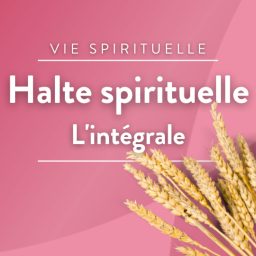 Artwork for Halte spirituelle, l'intégrale