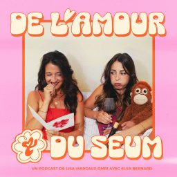 Artwork for De l'Amour et du Seum