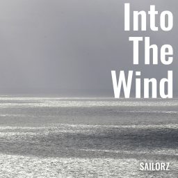 Artwork for Into The Wind