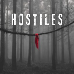 Artwork for HOSTILES PODCAST