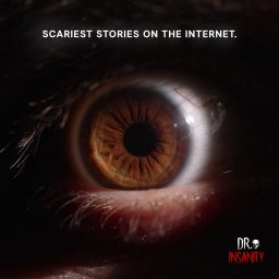 Artwork for Dr. Insanity