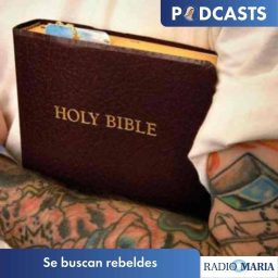 Artwork for Se buscan rebeldes
