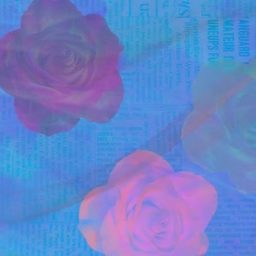 Artwork for Ser tu propia Rosa