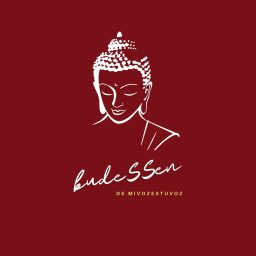 Artwork for budeSSen