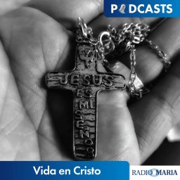 Artwork for Vida en Cristo