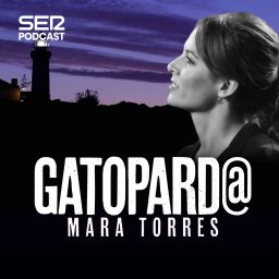 Artwork for Gatopard@