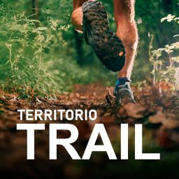 Artwork for TERRITORIO TRAIL
