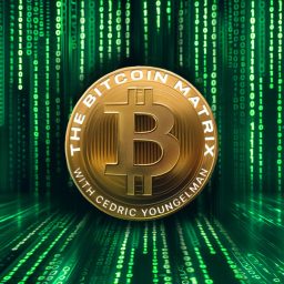 Artwork for The Bitcoin Matrix