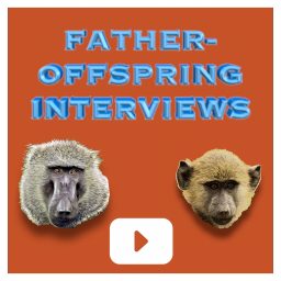 Artwork for Robert Sapolsky | Father-Offspring Interviews