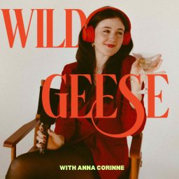 Artwork for Wild Geese