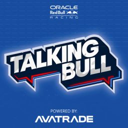 Artwork for Talking Bull